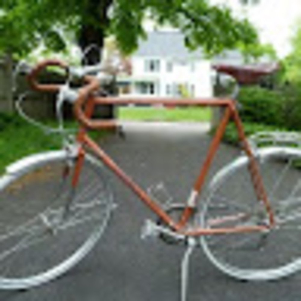 Meet your Posher, Larry